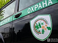 С начала года за нарушения правил безопасности в лесах Татарстана выписано штрафов на 1,2 млн рублей