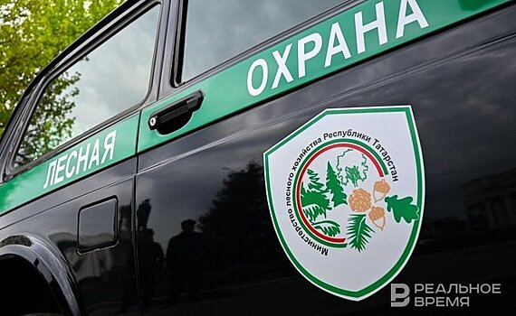 С начала года за нарушения правил безопасности в лесах Татарстана выписано штрафов на 1,2 млн рублей