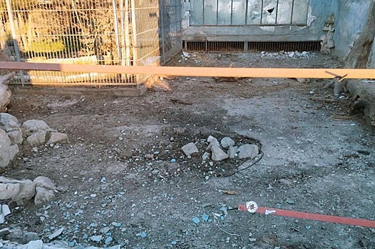 Рогов: ВСУ атаковали зоопарк в Васильевке и ранили льва