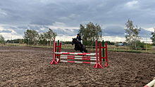 Барьеры взяты: в Красном Яре прошли областные соревнования по конному спорту