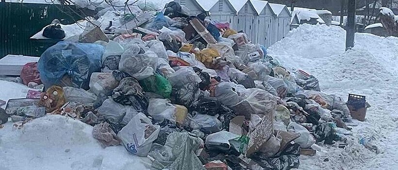В Воронеже губернатор и мэр назвали разные сроки уборки городских дворов от мусора