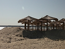 В Белоруссии отреагировали на новость о проданной на органы соотечественнице