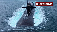 Конструктор Вильнит рассказал, как операция «Бегемот» 1991 года стала спасением морских ядерных сил РФ
