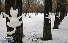 Ростовчан очаровал снимок &laquo;снегокотов&raquo;