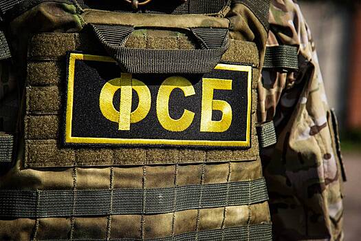 Сотрудники ФСБ пресекли деятельность украинской преступной группы в российском регионе