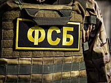 Сотрудники ФСБ пресекли деятельность украинской преступной группы в российском регионе