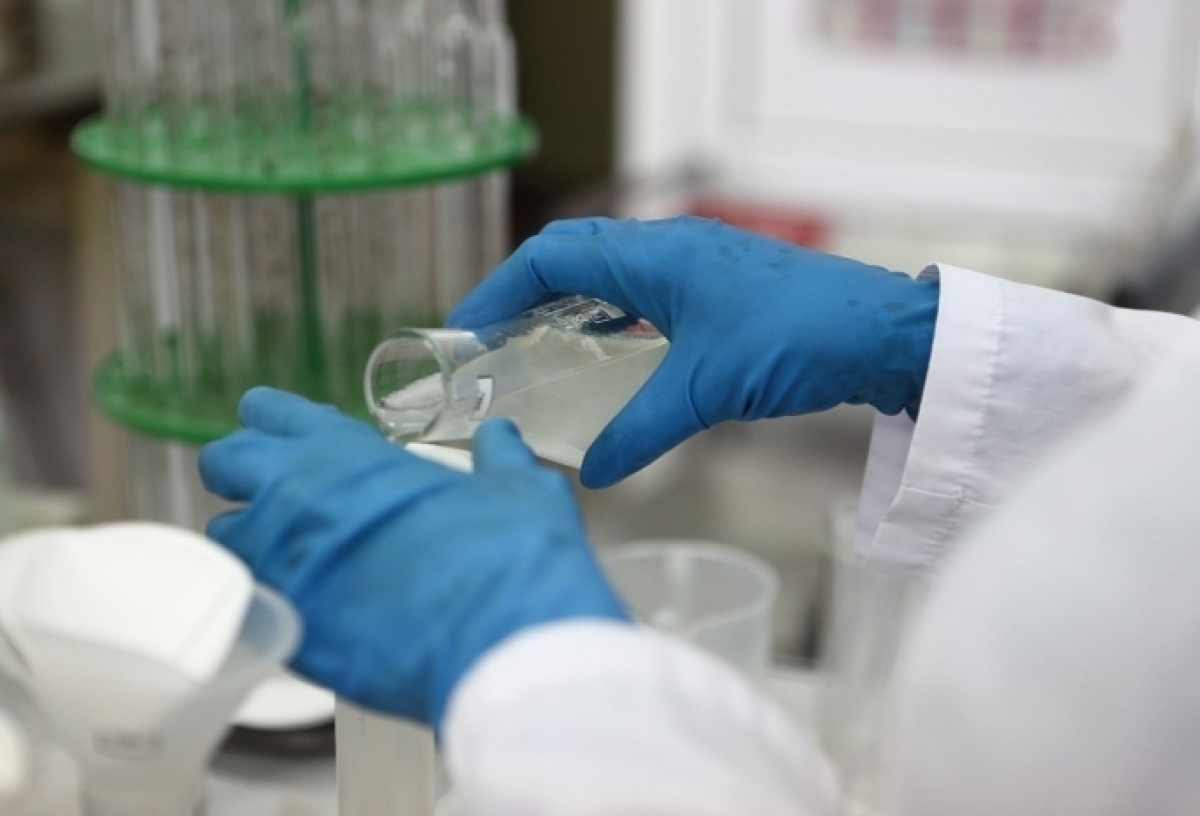 В Омской области продолжает распространяться бешенство