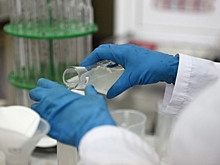 В Омской области продолжает распространяться бешенство