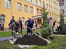 В Самаре высадили аллею в честь областного прокурора