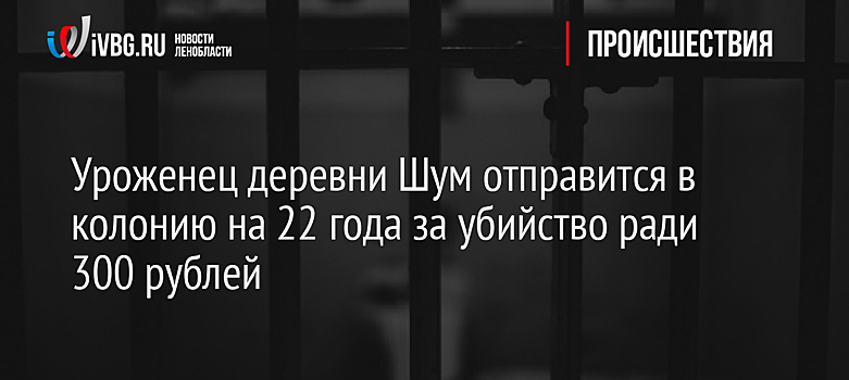 Уроженец деревни Шум отправится в колонию на 22 года за убийство ради 300 рублей