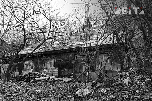 Приговор деревням вынесли на ВЭФ