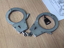 Правоохранители Сургута задержали сбившего двух пешеходов водителя