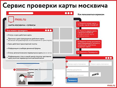 Искусственный интеллект помогает горожанам проверить статус карты москвича