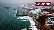 В РАН предупредили об опасности сброса воды с «Фукусимы» для обитателей океана