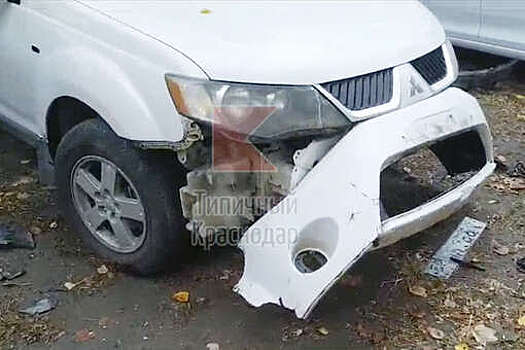 В Краснодаре собаки разломали бампер машины, пытаясь добраться до кошки