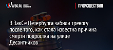 В ЗакСе Петербурга забили тревогу после того, как стала известна причина гибели подростка на улице Десантников