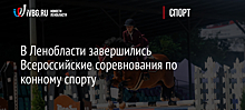 В Ленобласти завершились Всероссийские соревнования по конному спорту