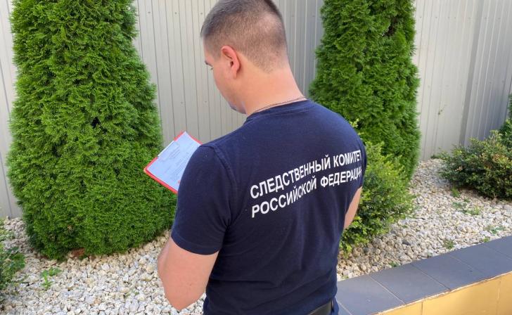 Следственный комитет проверяет обстоятельства нападения собаки на женщину в Курске