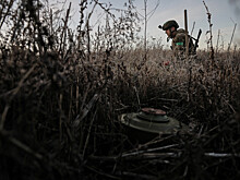 В Волгограде 50 человек разместили в лицее после налета дронов