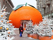 Аллергиков и астматиков предупредили об опасностях новогодних праздников