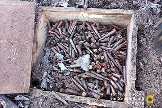 В Запорожской области полицейские обнаружили схрон с боеприпасами