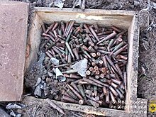 В Запорожской области полицейские обнаружили схрон с боеприпасами