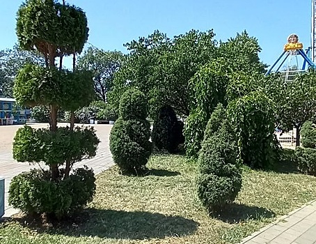 В центральном парке райцентра «причесали» деревья