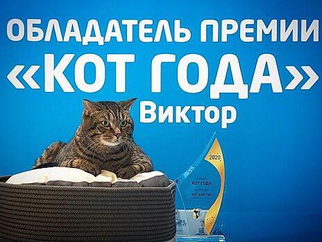 Толстый кот Виктор из Владивостока принял активное участие в масштабном мероприятии в Москве