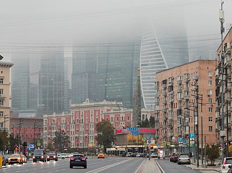 Туманы в Московском регионе рассеются ближе к полудню