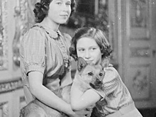 Букингемский дворец отмечает Международный день собак, опубликовав старинный снимок с Елизаветой II