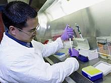 Китай указал на самую активную биовоенную деятельность в мире со стороны США