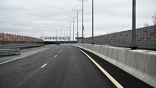 В Новой Москве на ЦКАД водитель грузовика задавил водителя сломавшейся иномарки