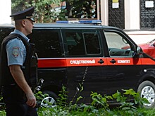 СК начал использовать ИИ для поиска серийных преступников