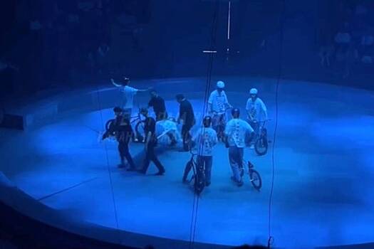 Падение артиста цирка в российском городе попало на видео