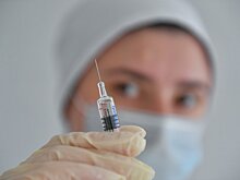 Правительство России выделило ещё 4,1 млрд рублей на закупку вакцины от гриппа