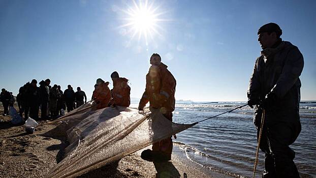 146 волонтеров, очищающих побережье, обратились к врачам: как пары мазута «убивают» здоровье