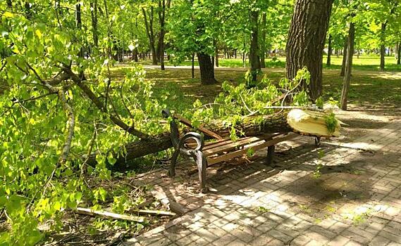 Девушка в коме. Последствия шторма в Калининграде