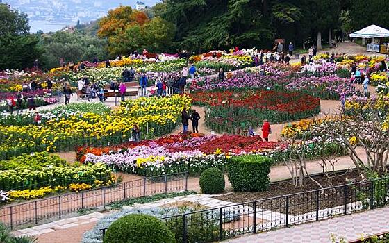 Чем мне запомнился Бал хризантем - 2017