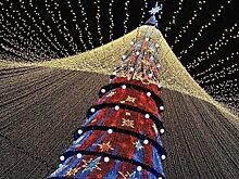 В Казани открылась главная елка города