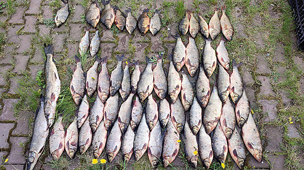 Двое югорчан заплатили более 45 тысяч рублей за незаконную рыбалку в Белоярском