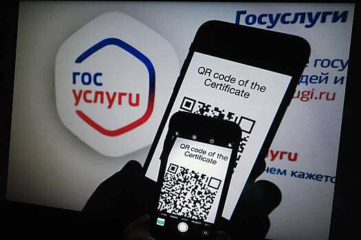 Россиян предупредили о новой схеме мошенничества с «Госуслугами»