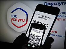 Россиян предупредили о новой схеме мошенничества с «Госуслугами»