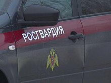 В УВО Росгвардии провели день открытых дверей для студентов