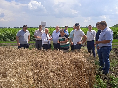 Эксперты облкомсельхоза оценивают работу АПК и обобщают лучшие практики