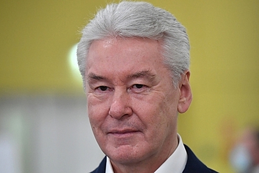 Собянин оценил сумму ущерба из-за коронавируса в Москве