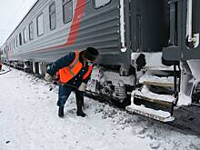 Пассажиры остановленного поезда остались без доступа к туалетам