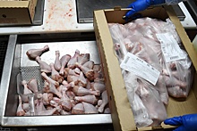Минсельхоз: Внутренний рынок России полностью обеспечен мясом птицы
