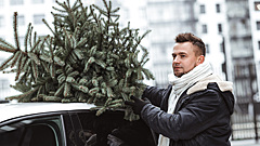 Как правильно перевозить новогоднюю елку в машине: советы, правила и штрафы