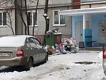          Кировчане назвали Аллу Албегову "министром мусорного коллапса" и обвинили её в халатности       