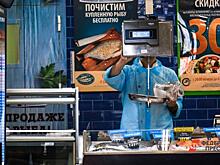 «Ценовая политика рынка просто фантастическая». Эксперты о развитии рыбной отрасли на Ямале